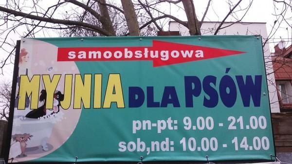 Samoobsługowa myjnia dla psów